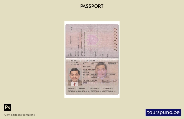 Listo para imprimir la plantilla actual del pase de Rumania